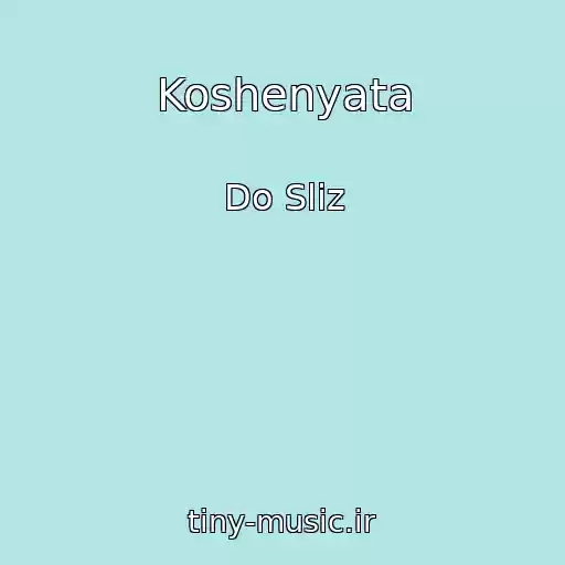 کاور آهنگ Koshenyata از Do Sliz