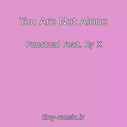 کاور آهنگ You Are Not Alone از Punctual Feat. Ry X