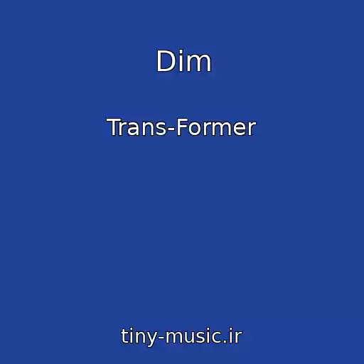 کاور آهنگ Dim از Trans-Former