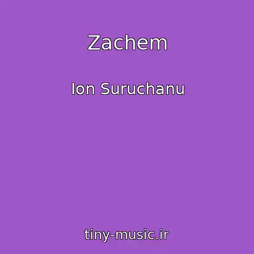 کاور آهنگ Zachem از Ion Suruchanu