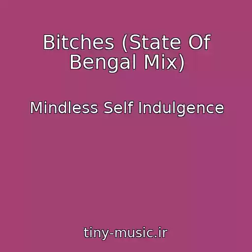 کاور آهنگ Bitches (State Of Bengal Mix) از Mindless Self Indulgence
