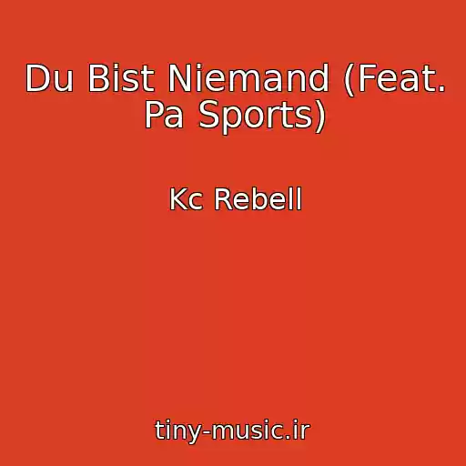 کاور آهنگ Du Bist Niemand (Feat. Pa Sports) از Kc Rebell