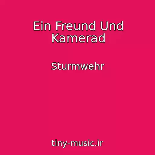 کاور آهنگ Ein Freund Und Kamerad از Sturmwehr