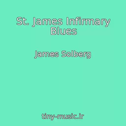 کاور آهنگ St. James Infirmary Blues از James Solberg