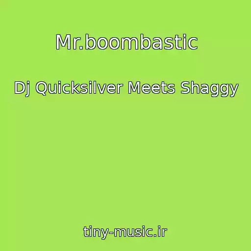 کاور آهنگ Mr.boombastic از Dj Quicksilver Meets Shaggy