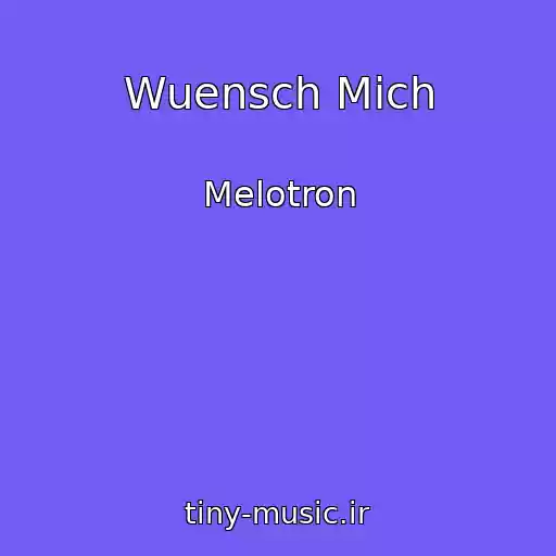 کاور آهنگ Wuensch Mich از Melotron
