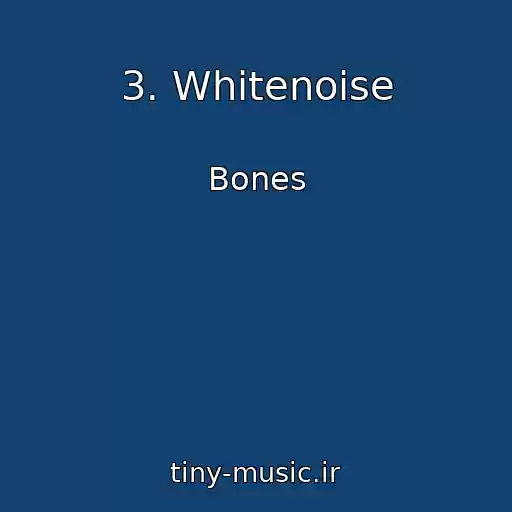کاور آهنگ 3. Whitenoise از Bones