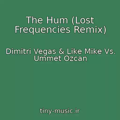 کاور آهنگ The Hum (Lost Frequencies Remix) از Dimitri Vegas & Like Mike Vs. Ummet Ozcan