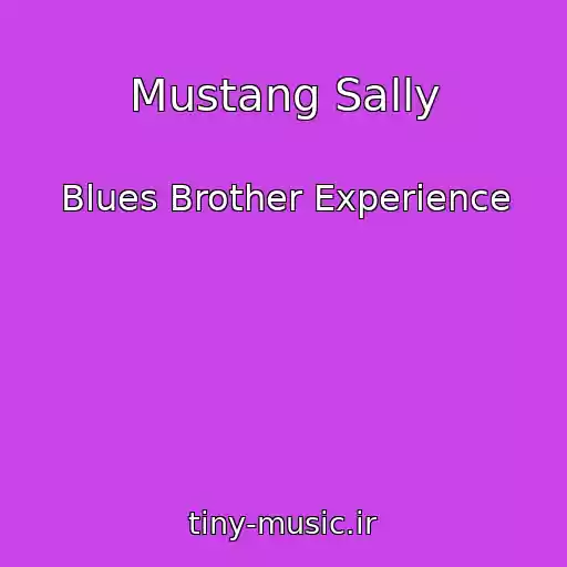 کاور آهنگ Mustang Sally از Blues Brother Experience