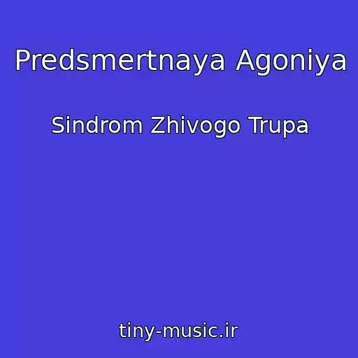 کاور آهنگ Predsmertnaya Agoniya از Sindrom Zhivogo Trupa