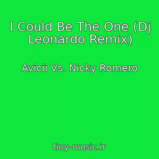 کاور آهنگ I Could Be The One (Dj Leonardo Remix) از Avicii Vs. Nicky Romero