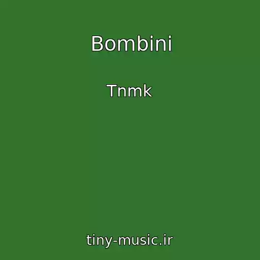 کاور آهنگ Bombіnі از Tnmk