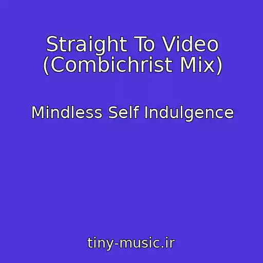 کاور آهنگ Straight To Video (Combichrist Mix) از Mindless Self Indulgence