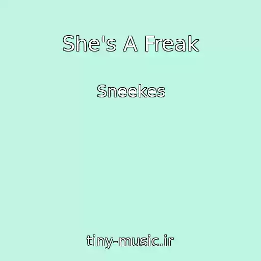 کاور آهنگ She's A Freak از Sneekes