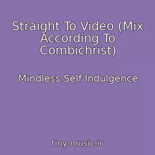 کاور آهنگ Straight To Video (Mix According To Combichrist) از Mindless Self Indulgence