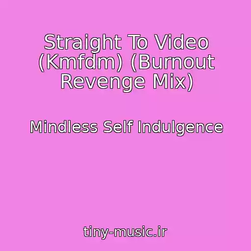 کاور آهنگ Straight To Video (Kmfdm) (Burnout Revenge Mix) از Mindless Self Indulgence