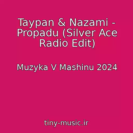 کاور آهنگ Taypan & Nazami - Propadu (Silver Ace Radio Edit) از Muzyka V Mashinu 2024