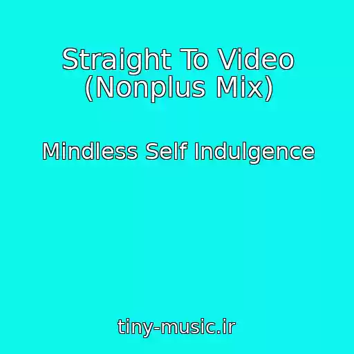 کاور آهنگ Straight To Video (Nonplus Mix) از Mindless Self Indulgence