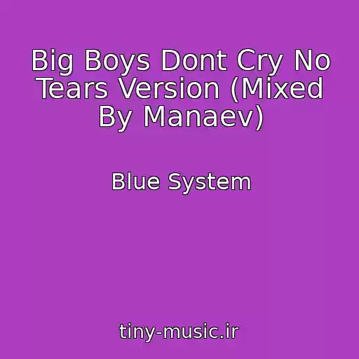 کاور آهنگ Big Boys Dont Cry No Tears Version (Mixed By Manaev) از Blue System
