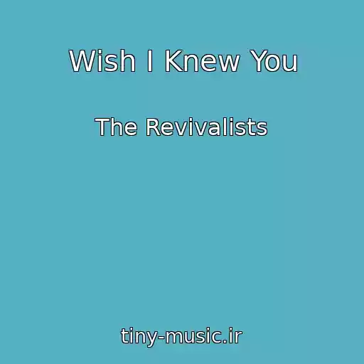 کاور آهنگ Wish I Knew You از The Revivalists