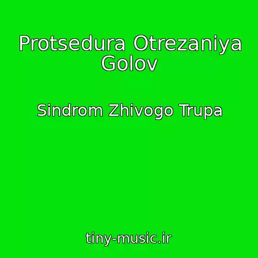 کاور آهنگ Protsedura Otrezaniya Golov از Sindrom Zhivogo Trupa