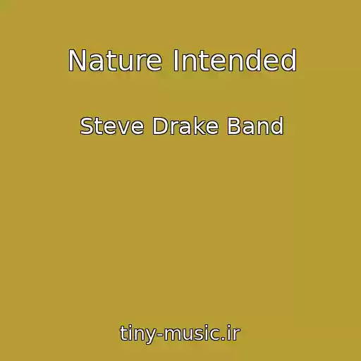 کاور آهنگ Nature Intended از Steve Drake Band