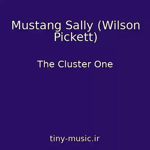 کاور آهنگ Mustang Sally (Wilson Pickett) از The Cluster One