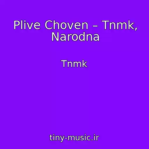 کاور آهنگ Plive Choven – Tnmk, Narodna از Tnmk