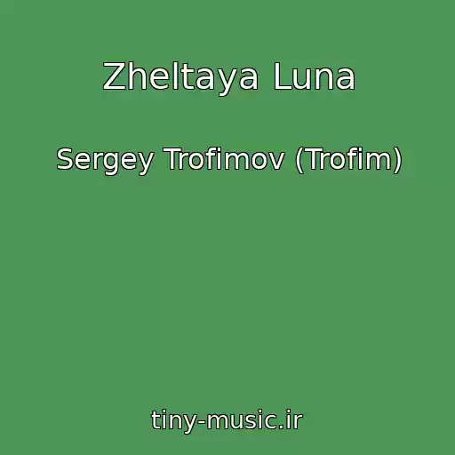 کاور آهنگ Zheltaya Luna از Sergey Trofimov (Trofim)