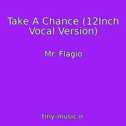 کاور آهنگ Take A Chance (12Inch Vocal Version) از Mr. Flagio