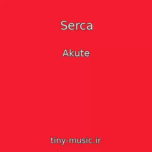 کاور آهنگ Serca از Akute