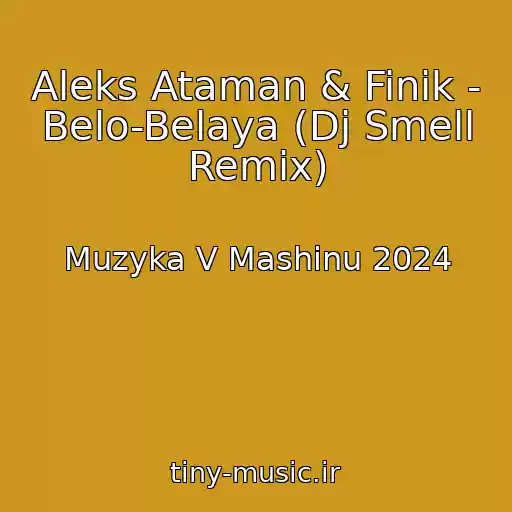 کاور آهنگ Aleks Ataman & Finik - Belo-Belaya (Dj Smell Remix) از Muzyka V Mashinu 2024