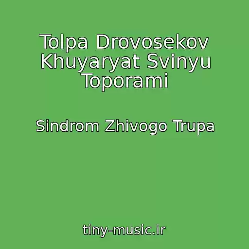 کاور آهنگ Tolpa Drovosekov Khuyaryat Svinyu Toporami از Sindrom Zhivogo Trupa