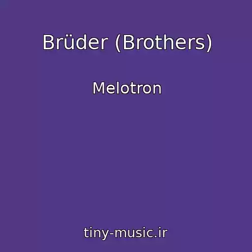 کاور آهنگ Brüder (Brothers) از Melotron