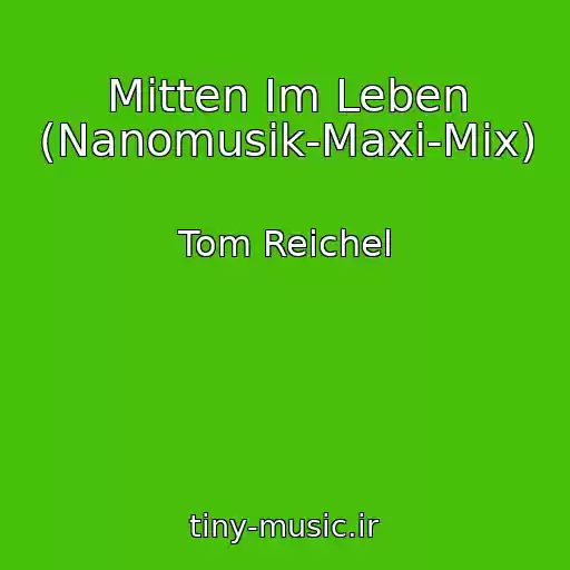 کاور آهنگ Mitten Im Leben (Nanomusik-Maxi-Mix) از Tom Reichel