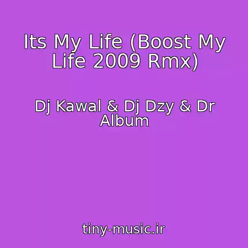 کاور آهنگ Its My Life (Boost My Life 2009 Rmx) از Dj Kawal & Dj Dzy & Dr Album