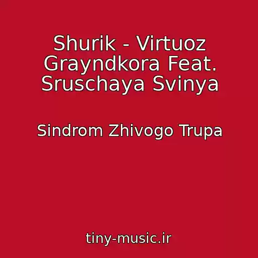 کاور آهنگ Shurik - Virtuoz Grayndkora Feat. Sruschaya Svinya از Sindrom Zhivogo Trupa
