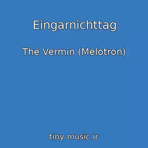 کاور آهنگ Eingarnichttag از The Vermin (Melotron)