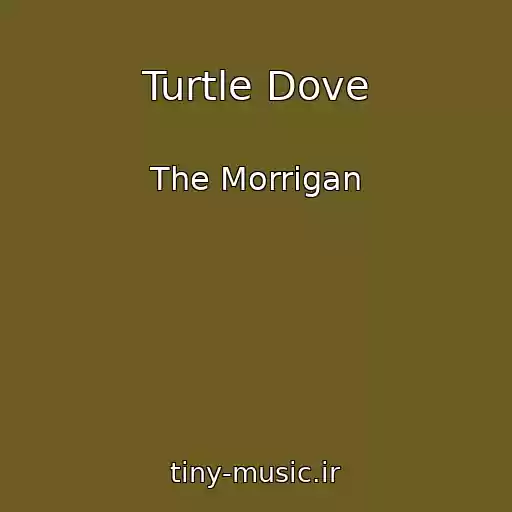 کاور آهنگ Turtle Dove از The Morrigan