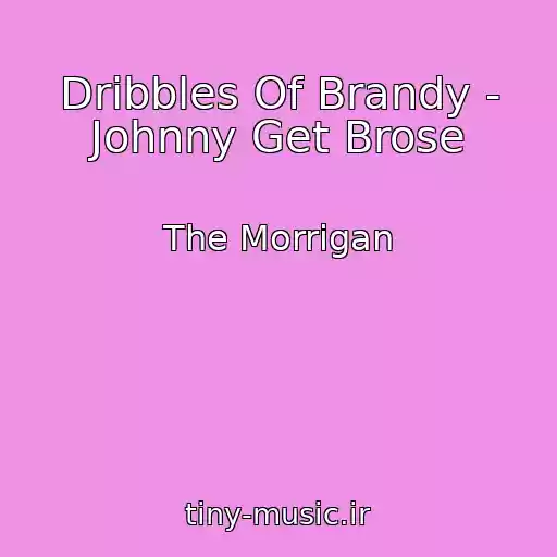کاور آهنگ Dribbles Of Brandy - Johnny Get Brose از The Morrigan
