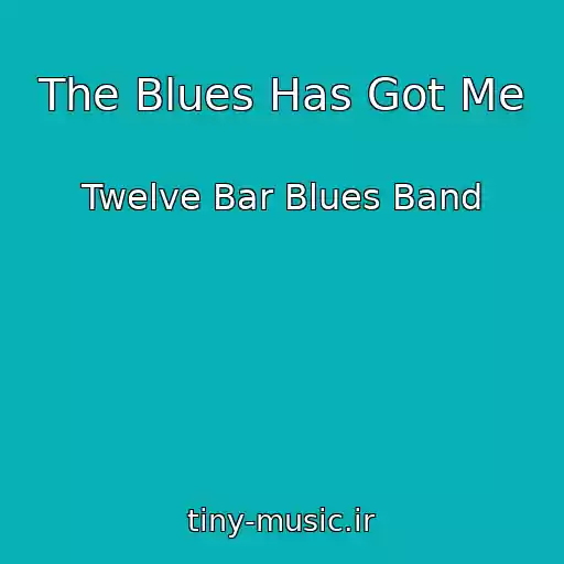 کاور آهنگ The Blues Has Got Me از Twelve Bar Blues Band