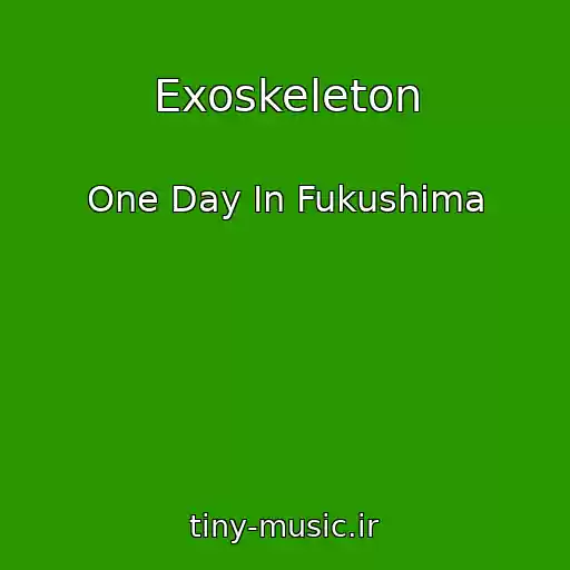 کاور آهنگ Exoskeleton از One Day In Fukushima
