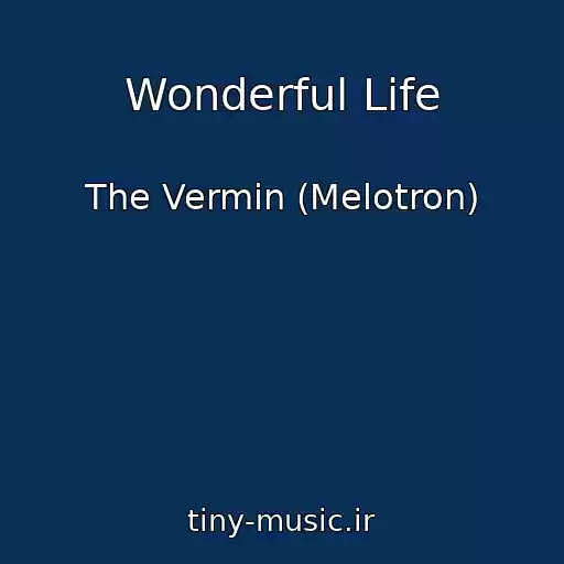 کاور آهنگ Wonderful Life از The Vermin (Melotron)