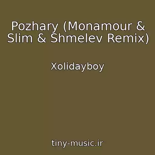 کاور آهنگ Pozhary (Monamour & Slim & Shmelev Remix) از Xolidayboy