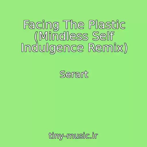 کاور آهنگ Facing The Plastic (Mindless Self Indulgence Remix) از Serart