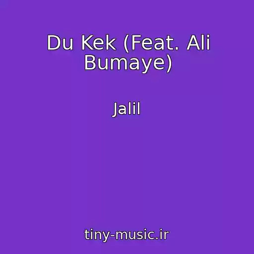 کاور آهنگ Du Kek (Feat. Ali Bumaye) از Jalil