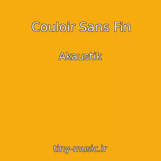 کاور آهنگ Couloir Sans Fin از Akaustik