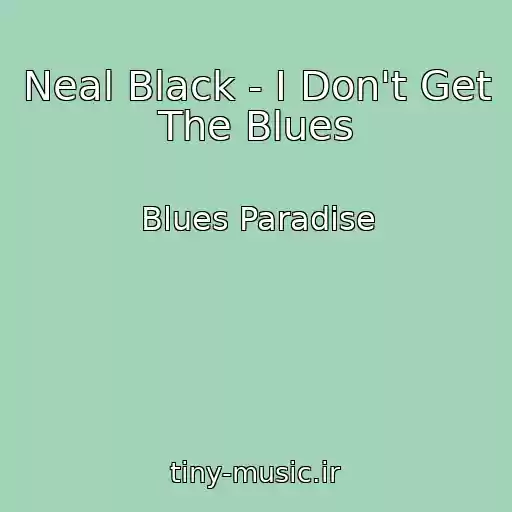 کاور آهنگ Neal Black - I Don't Get The Blues از Blues Paradise