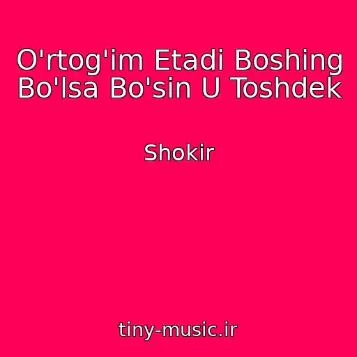کاور آهنگ O'rtog'im Etadi Boshing Bo'lsa Bo'sin U Toshdek از Shokir