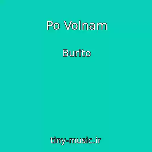 کاور آهنگ Po Volnam از Burito